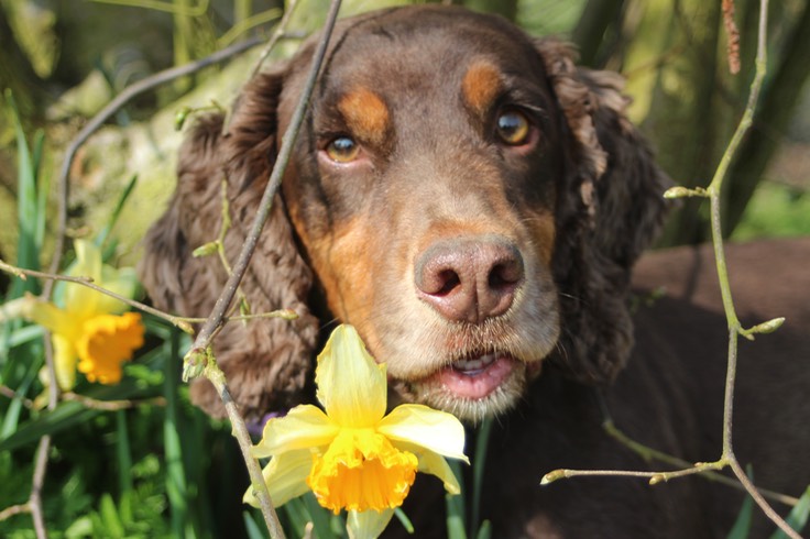 Charlie helping with fairy photography